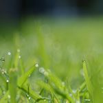 Expertpanelen; 5 konkreta tips inför 2015