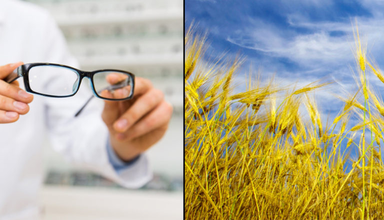 brath Vilka områden är det värt att investera i?